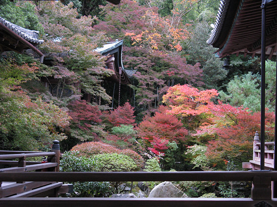 Japanese gardens: Bishamondo Temple