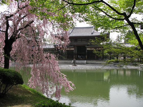 Japanese temples: Byodo-in