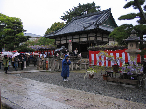 Fujiidera Temple Praying