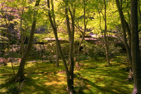Japanese gardens: Gioji Temple