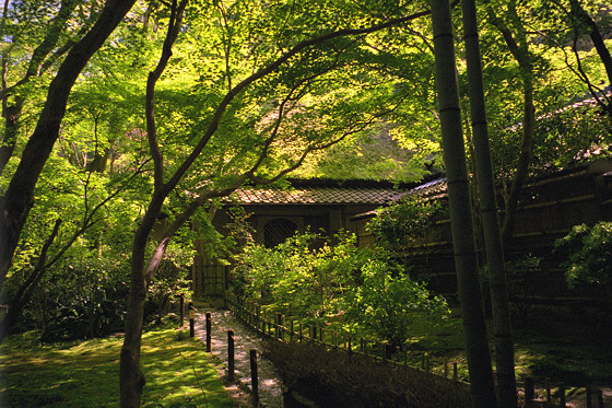 Gio-ji Temple path