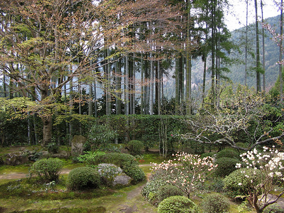 Japanese gardens: Hosenin Temple