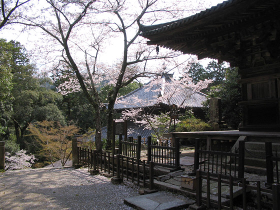 Ichijoji Temple Pagoda