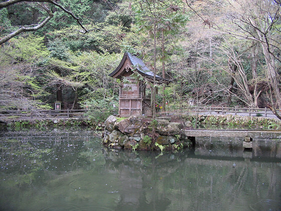 Ichijoji Temple Pond
