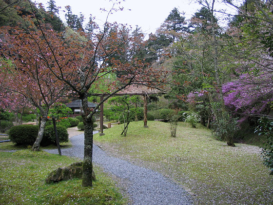 Japanese gardens: Ishiyamadera Temple