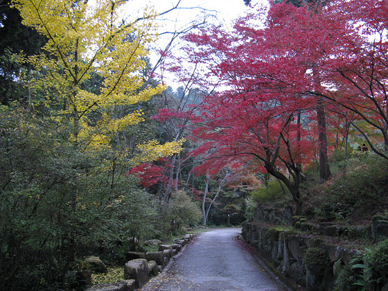 Ishiyamadera Temple Path