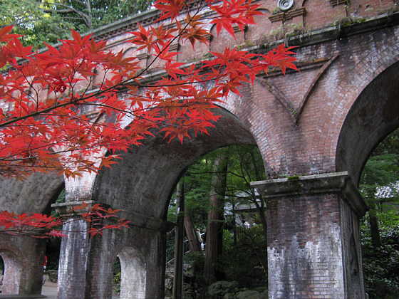 Japanese maple: Nanzenji aquaduct