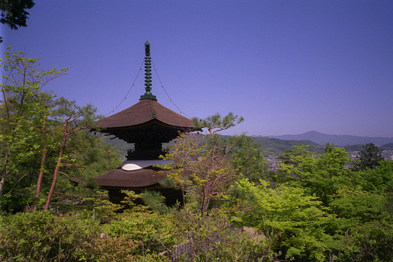 Jokakkoji temple view