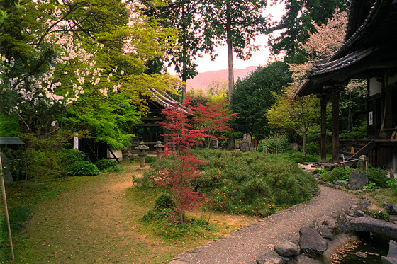 Japanese gardens: Jurinji Temple