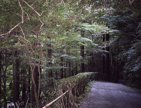 Kurama Temple Path