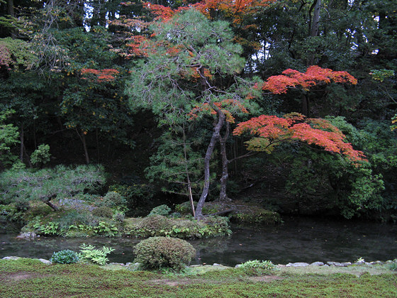 Japanese gardens: Nanzen-in Temple