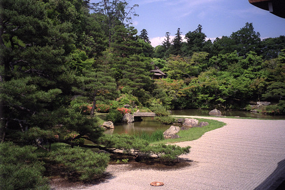 Japanese gardens: Ninnaji Temple
