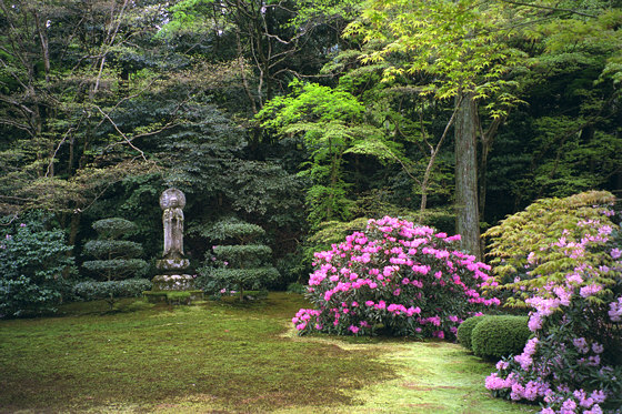 Japanese gardens: Sanzen-in Temple