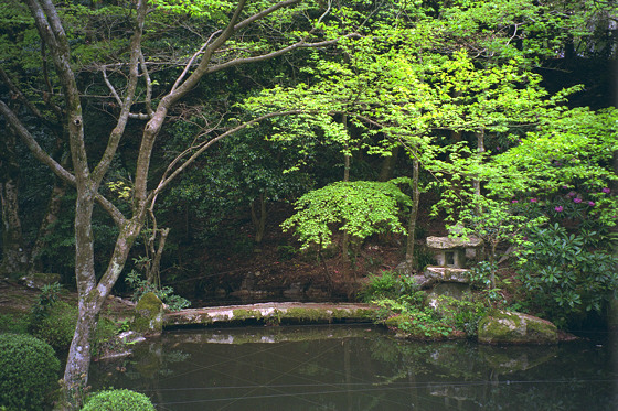 Sanzen-in Temple Pond