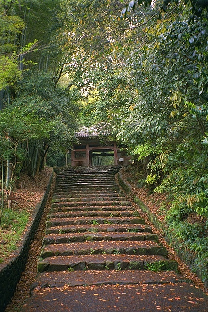 Shojiji Temple Niomon