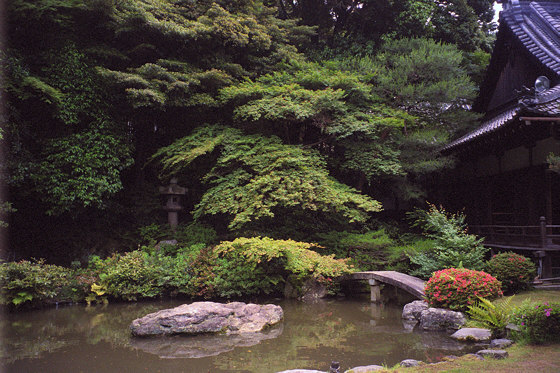 Japanese gardens: Shoren-in Temple
