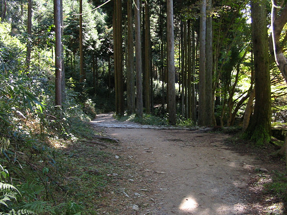 Path beside Raigo-in temple