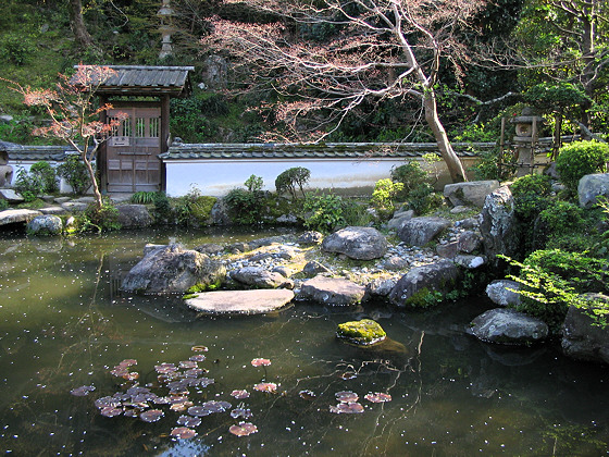 Japanese gardens: Taimadera Temple