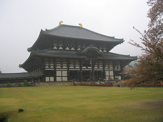 Todaiji Temple Hondo in rain