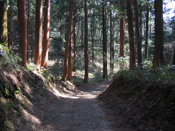 Yokawa Jokoin Temple Path